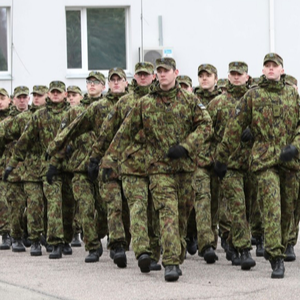 Фото: Силы обороны Эстонии.